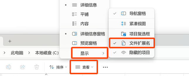 Windows 11 设置完整文件名